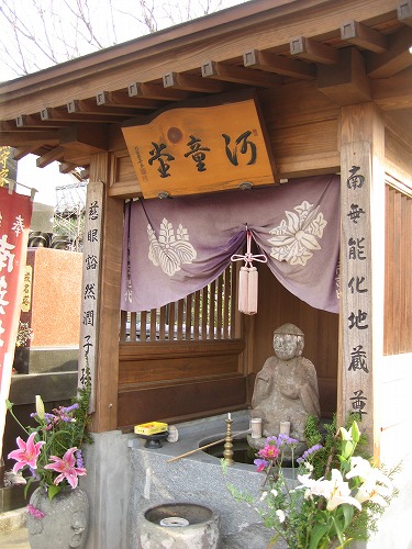 大円寺6