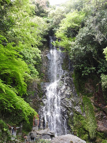 清水の滝19