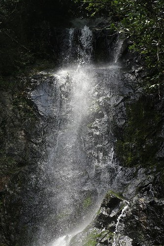 清水の滝10
