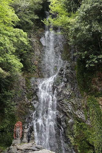 清水の滝12